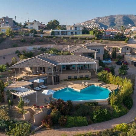 Lyciponon Villa Ανάβυσσος Εξωτερικό φωτογραφία